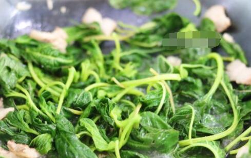 苋菜怎么做 蚝油肉片苋菜的做法5