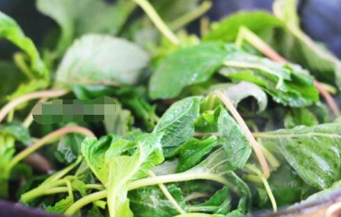 苋菜怎么做 蚝油肉片苋菜的做法3